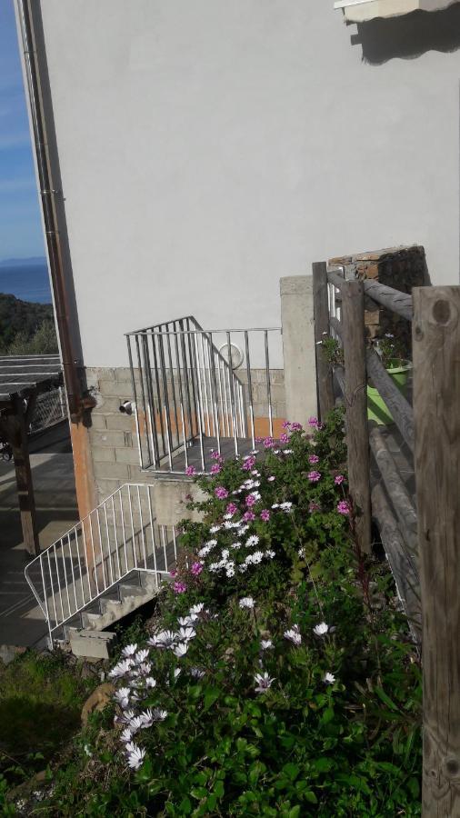 Appartement Giannoni San-Martino-di-Lota Exterior photo