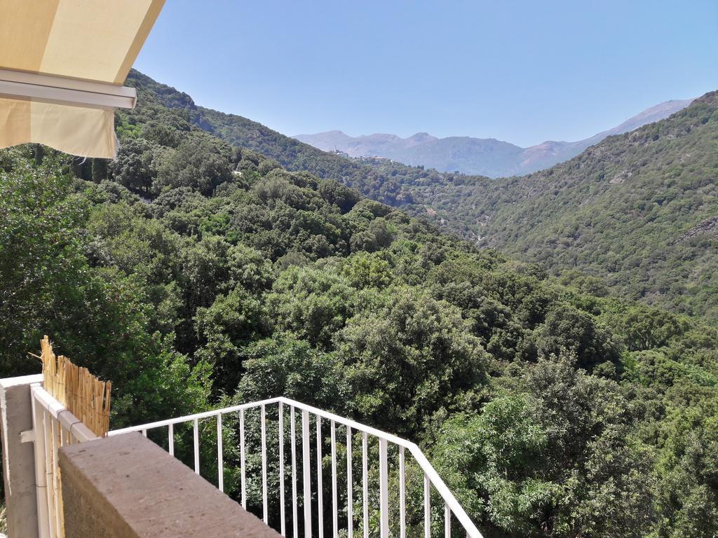 Appartement Giannoni San-Martino-di-Lota Exterior photo